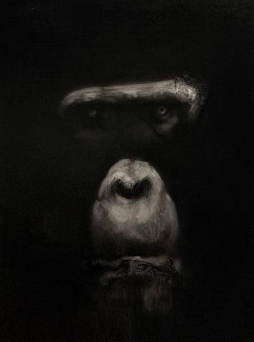 Chimpanzee Facing Viewer