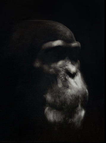 Chimpanzee Profile 1